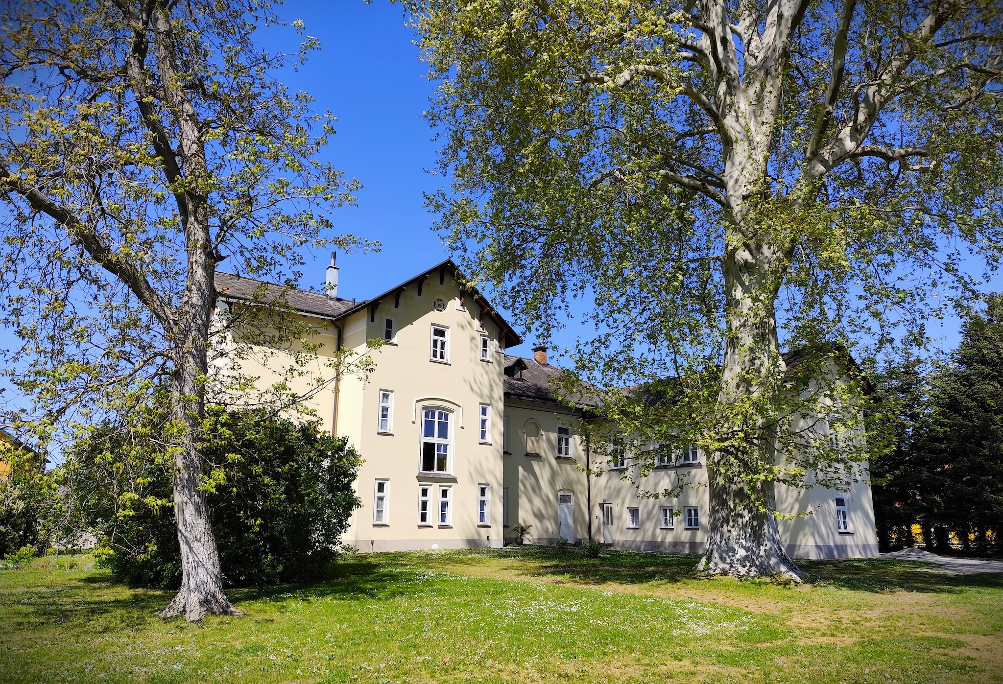 Ledóchowskahaus in Loosdorf